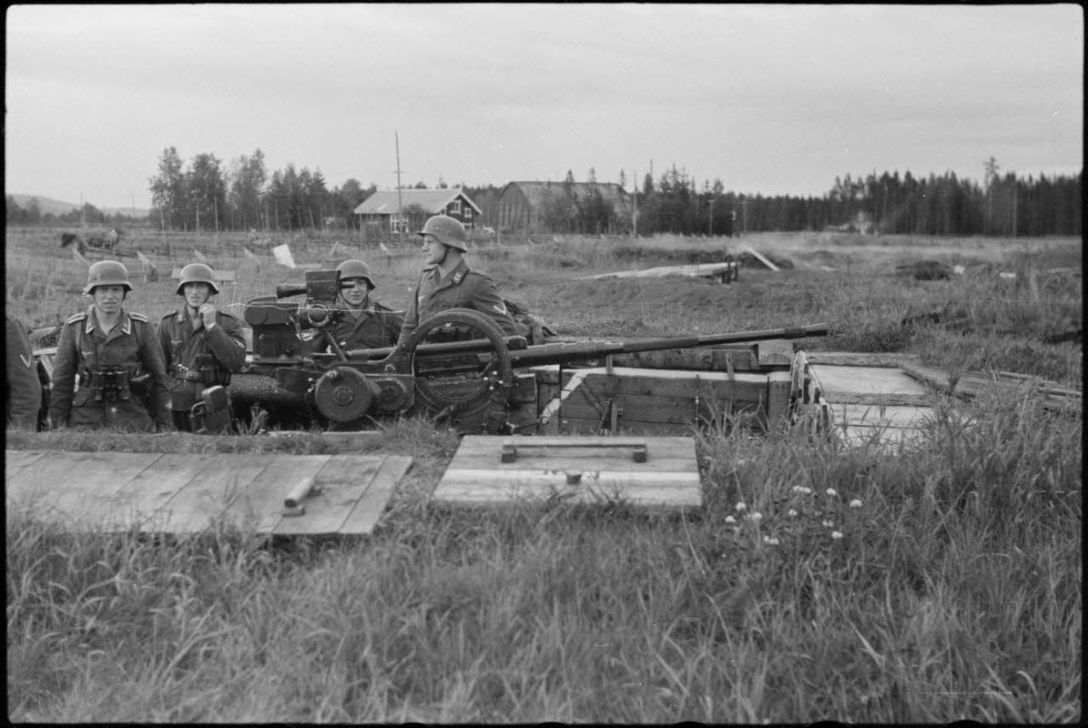 Lors d'une démonstration aéroportée du Luftlandegeschwader 1 (8.LLG 1) sur le terrain d'aviation de 