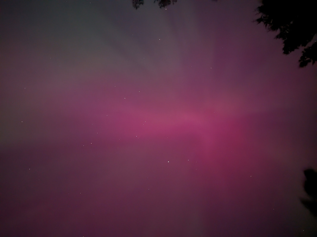 [Image: PXL-20240511-064255065-NIGHT.jpg]