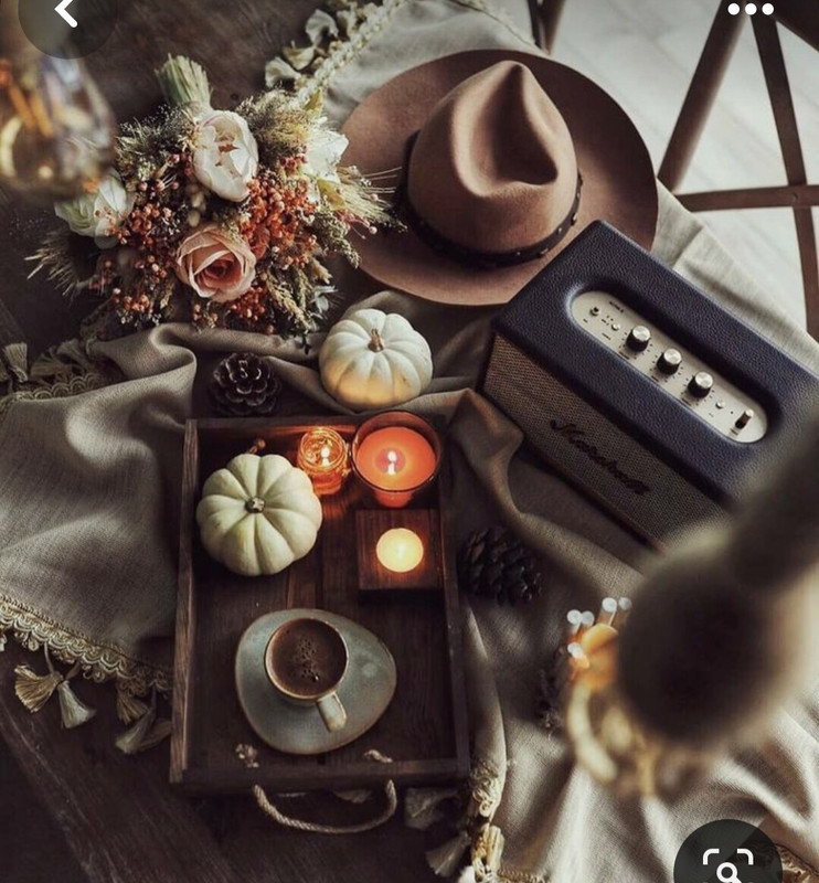 Screenshot_20230909_011510_Pinterest