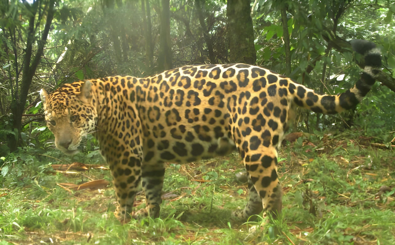 Picsart_23-11-11_00-04-57-854