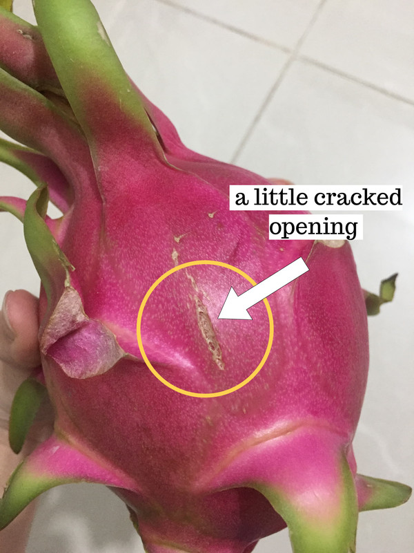 dragon-fruit-splitting.jpg