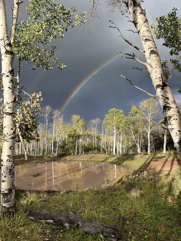 154A7329-8BB4-4A9F-AF77-B56A08E0ADCA