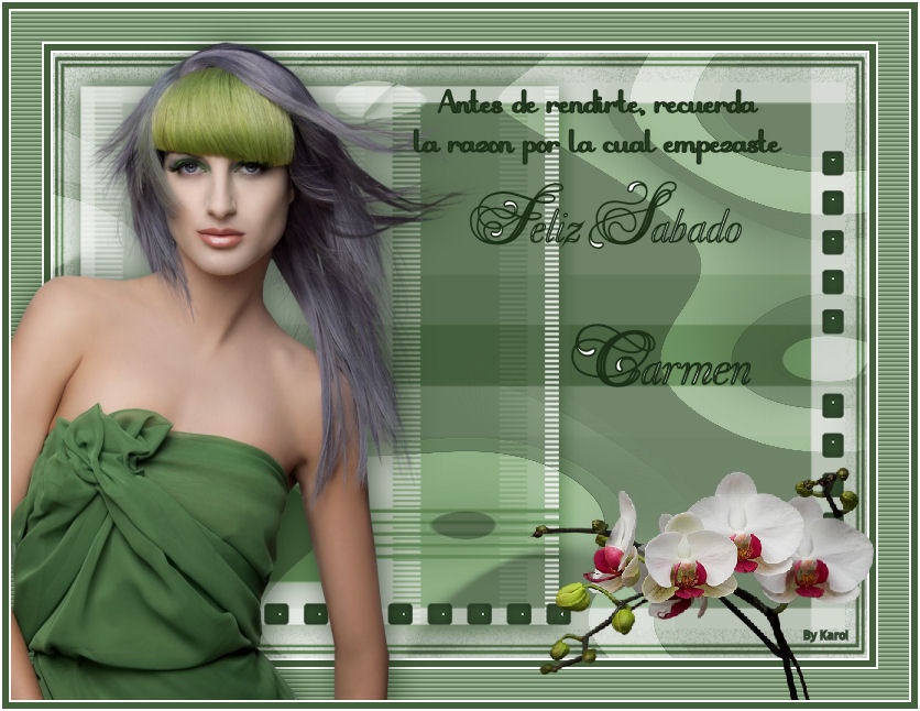 SABADO ORQUIDEAS