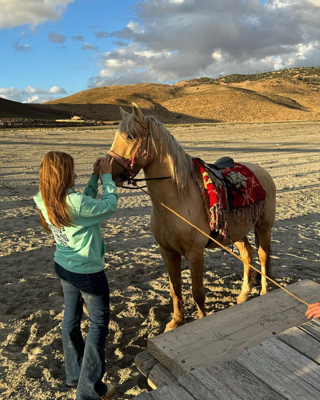 bozavariosescotes_oso3wwwwwwn (2)