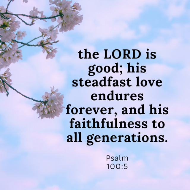 [Image: da3fbd6031ed54849a15faca69141a9a.png]