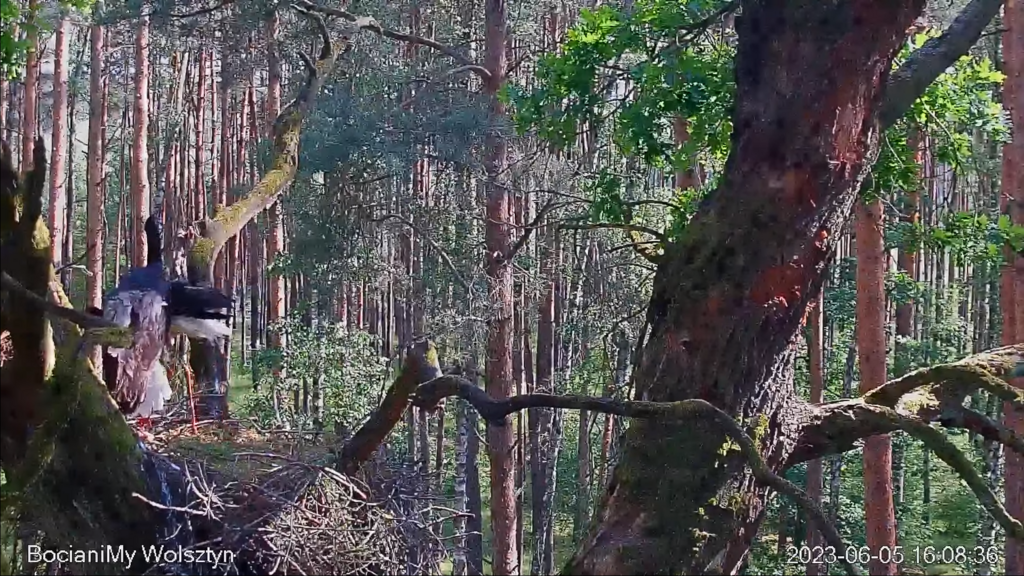 Zrzut ekranu (17286)