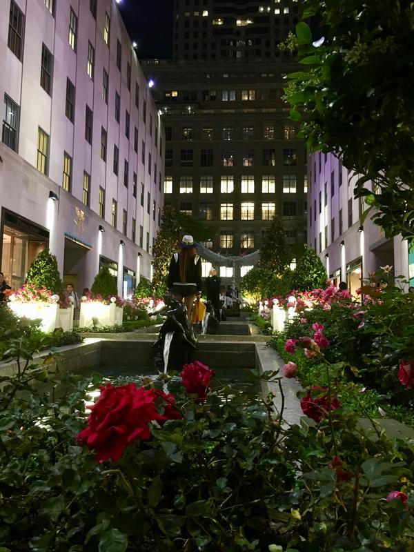 3C204062-02A2-436D-9117-A07420262315