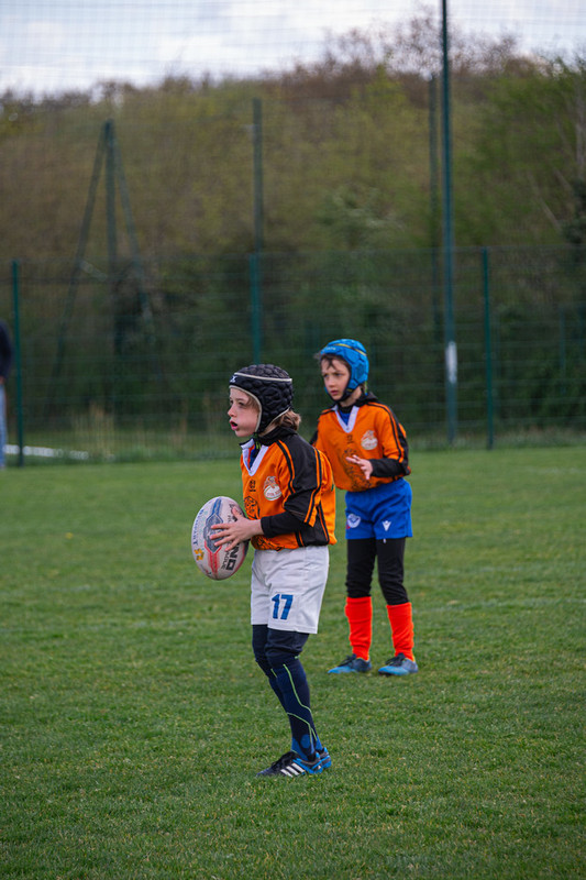 tournoi-de-latlantique-2026-adonis-griffon-111-55181456598-l