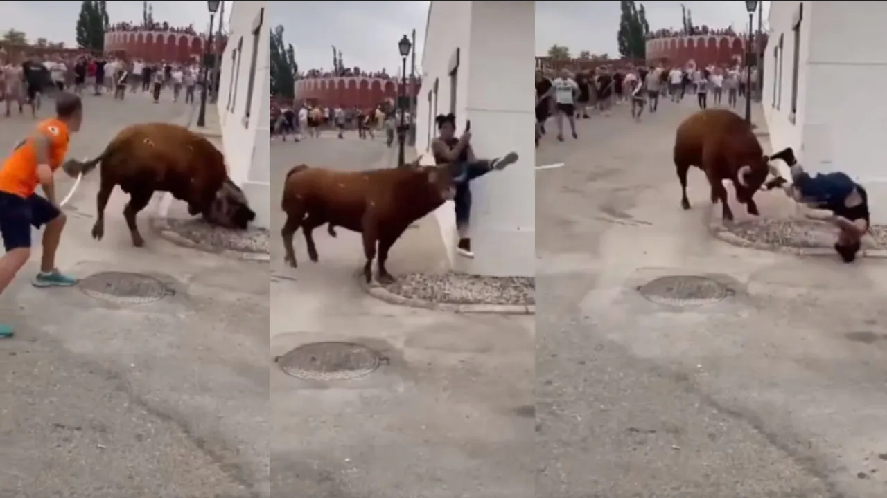 Joven distraída con el celular es embestido por un toro (VIDEO)