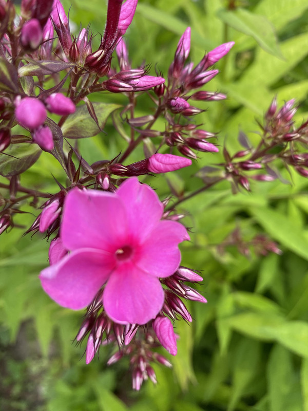 8A3271A1-0B70-469E-8C4D-845AD3A990D9