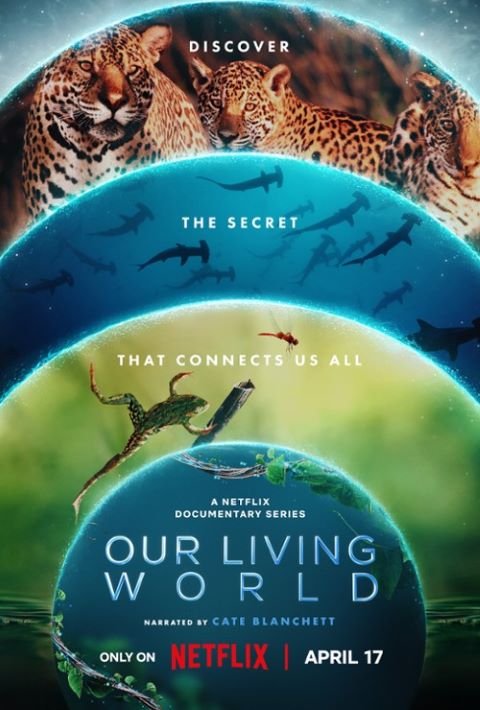 Nasz pełny życia świat / Our Living World (2024) (Sezon 1) MULTi.1080p.NF.WEB-DL.x264-KiT / Lektor PL Napisy PL
