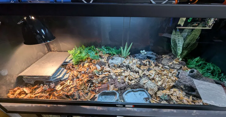 PXL_20250405_023002004