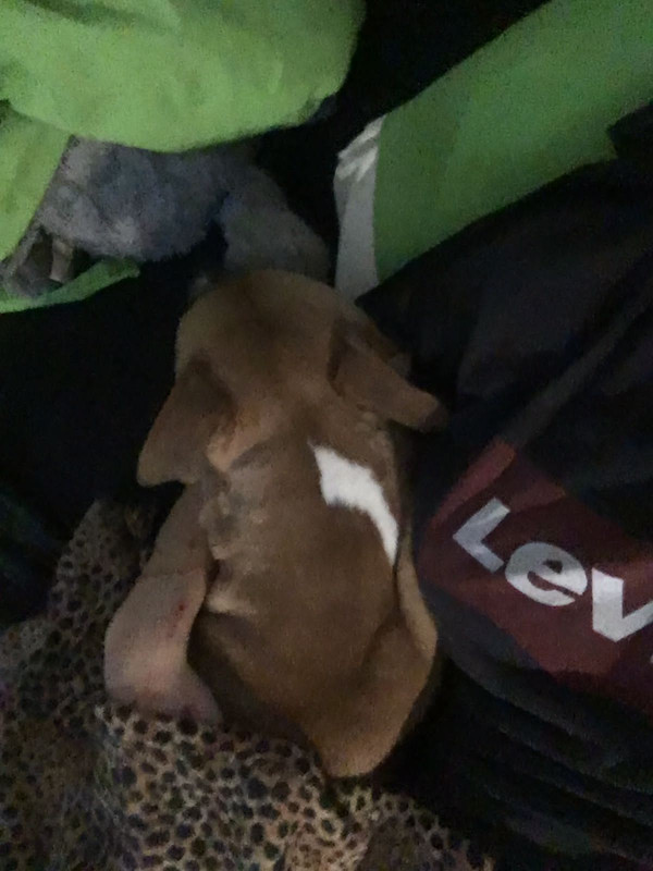 B0B1DD1C-6F57-4E0E-85BA-44C9AA37C0E1