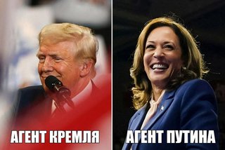 https://i.postimg.cc/Z5QPsdQP/2WMFM-1.jpg