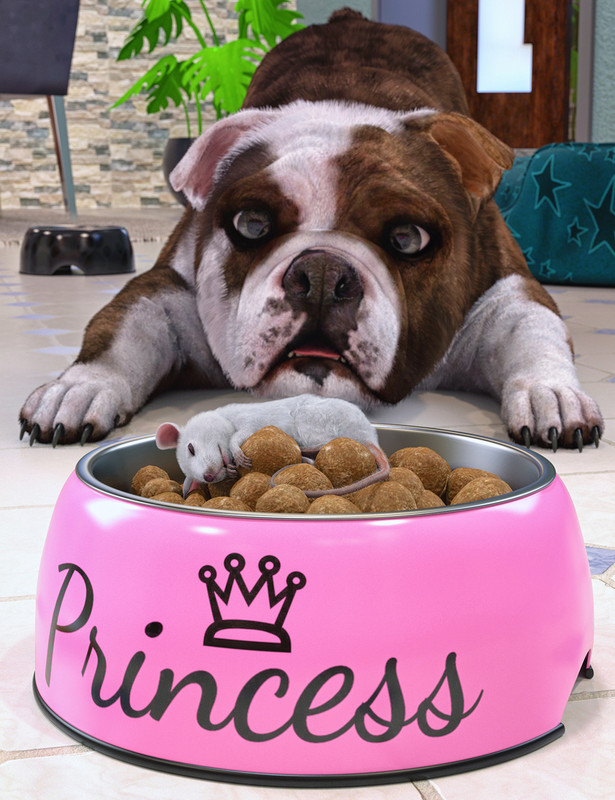 Dog Bowl Props Dog Bowl Props