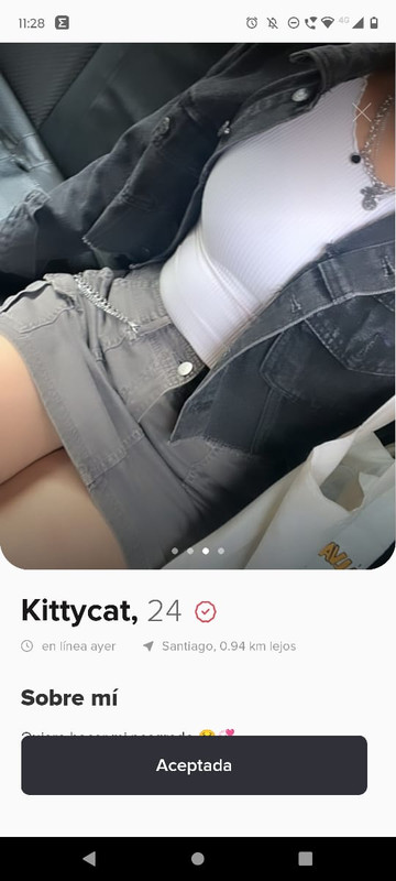 kittycat3.jpg