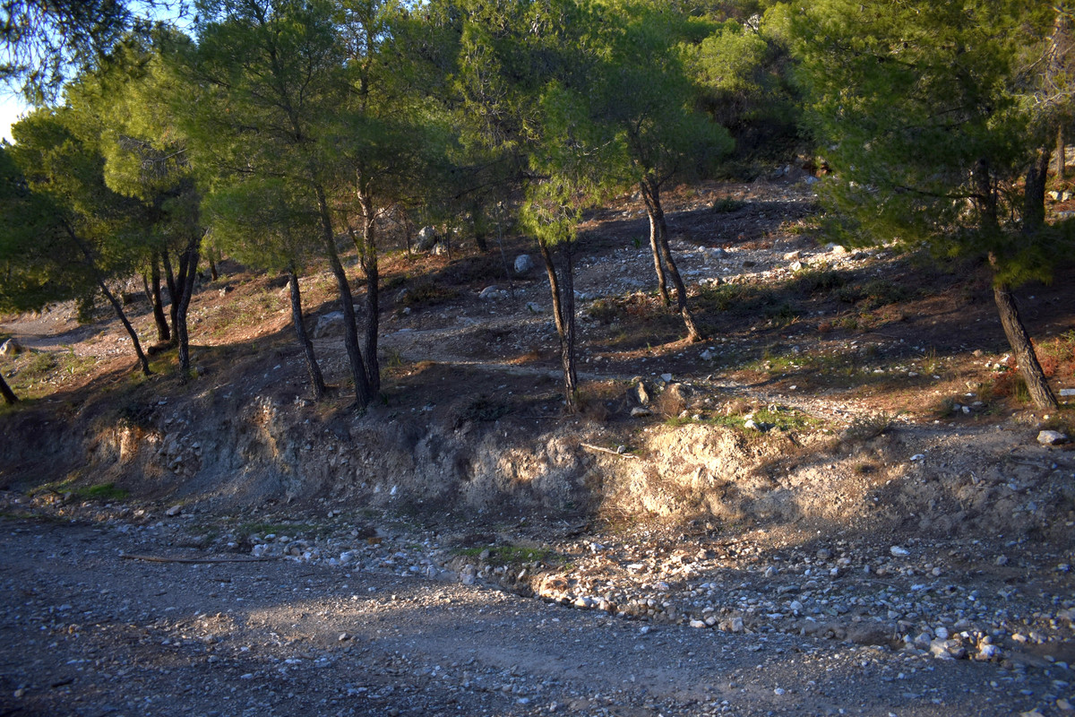 Το ανάκτορο του Αίαντα του Τελαμώνιου (2)