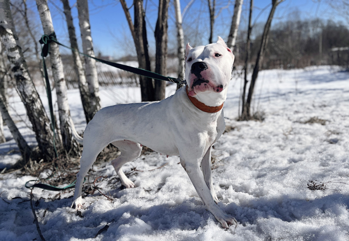 C5947487-6DD5-4CB9-AD06-198EFF7FF831