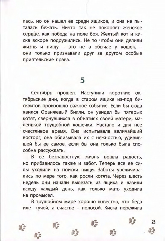 2019-page-0027