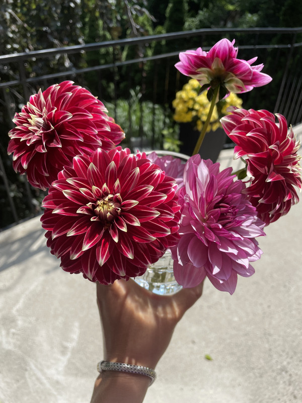 9575A835-DE75-4B7F-9AD9-1878F09BD7E0