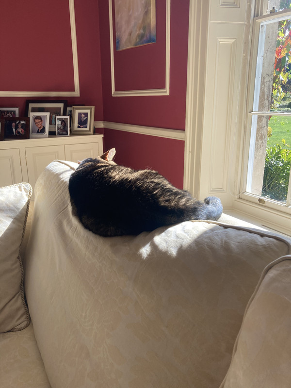 458E702A-2821-4A27-9530-811112D3E4B5