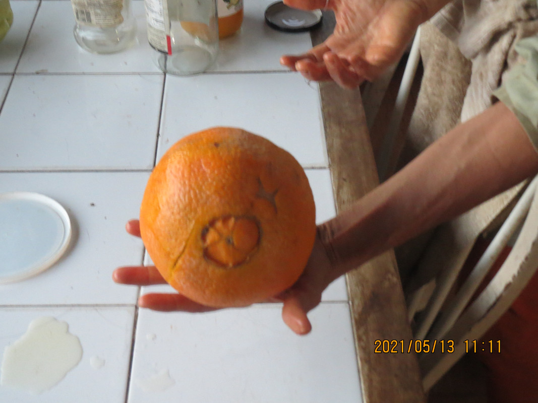 DE7EA35B-0C5B-495F-B666-E4BE716F7ABC