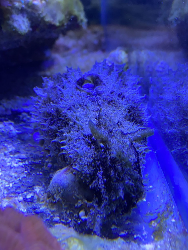 4FBB938D-1231-4745-8EAE-3D690879FAAA