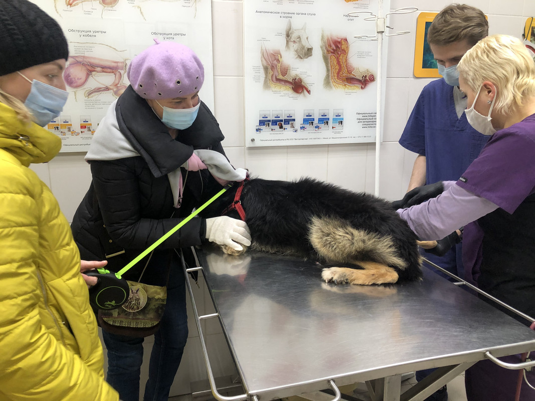 524E5C26-B8FB-4E57-BCBD-9860FB9C9534