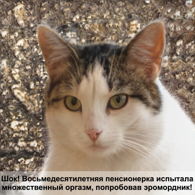 как подстричь когти кошке