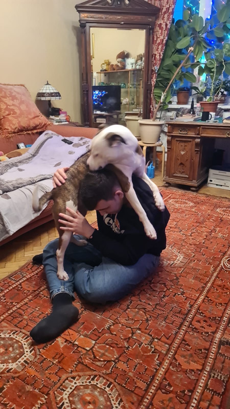 C3FC13A7-35D3-4E1F-832D-AF608D130E46