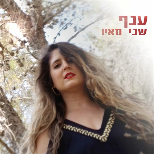 תמונה