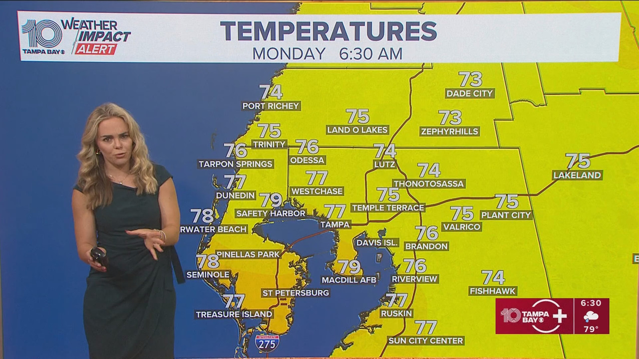 10 Tampa Bay News This Morning at 600 a.m_20250908_11001200.ts_snapshot_32.00.339