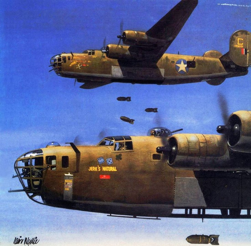 B-24D Liberator 'Jerk's Natural', 93rd. BG, Lybia, August 1943, by Iain Wyllie