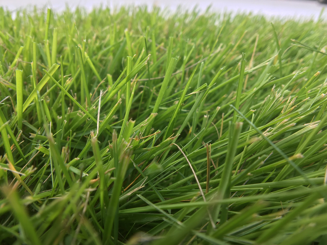 19346BA8-0BA5-4C43-8CD2-ADBAA65168D9