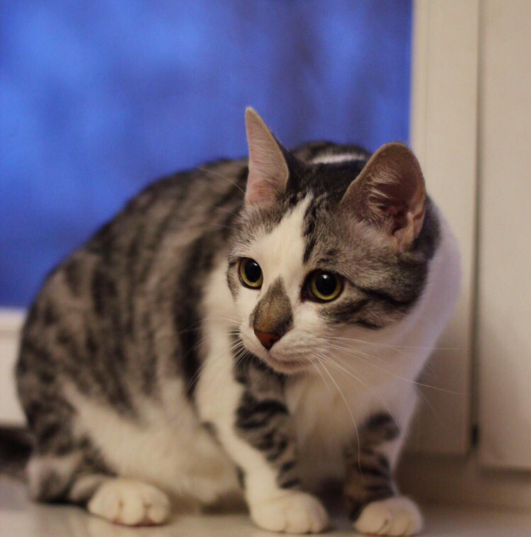 22A64957-E534-43D8-9A0C-8DAAB31E0607