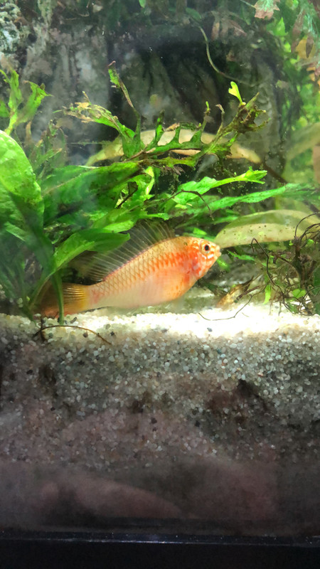 FF47AC0A-48E6-4319-8C97-FE8063887AA5