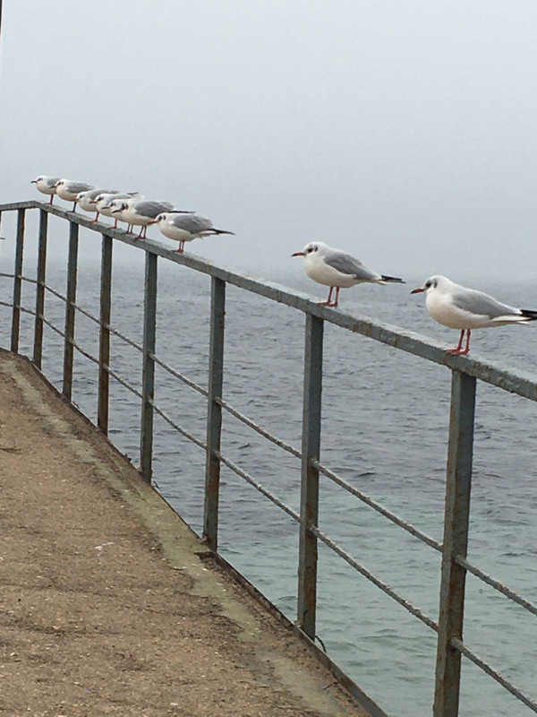 08BC79C6-94A6-4E07-B5D6-2B4AA65BD7BB