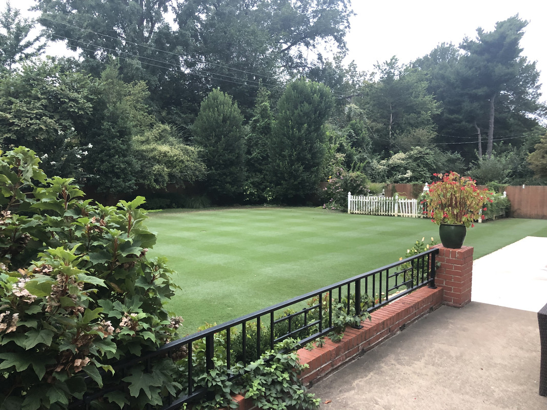 203D802F-33FA-4317-B283-F249581B67F2