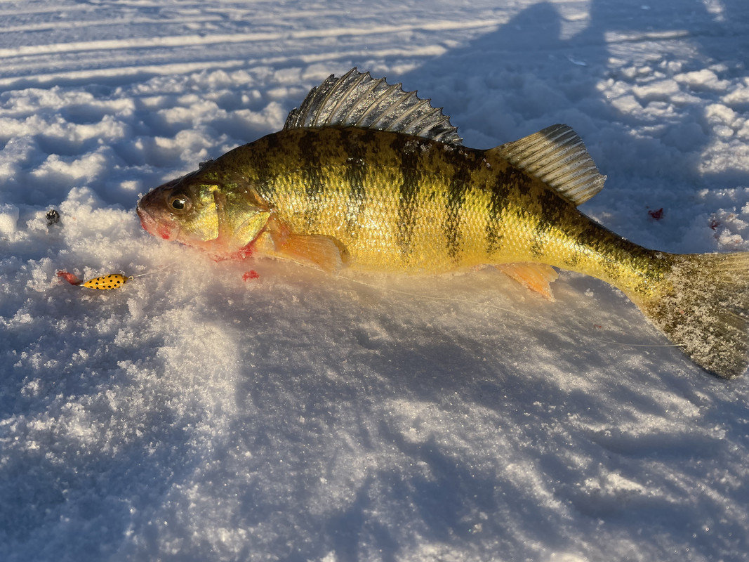 B6C83491-1C73-40B1-9834-42A54C9D457B