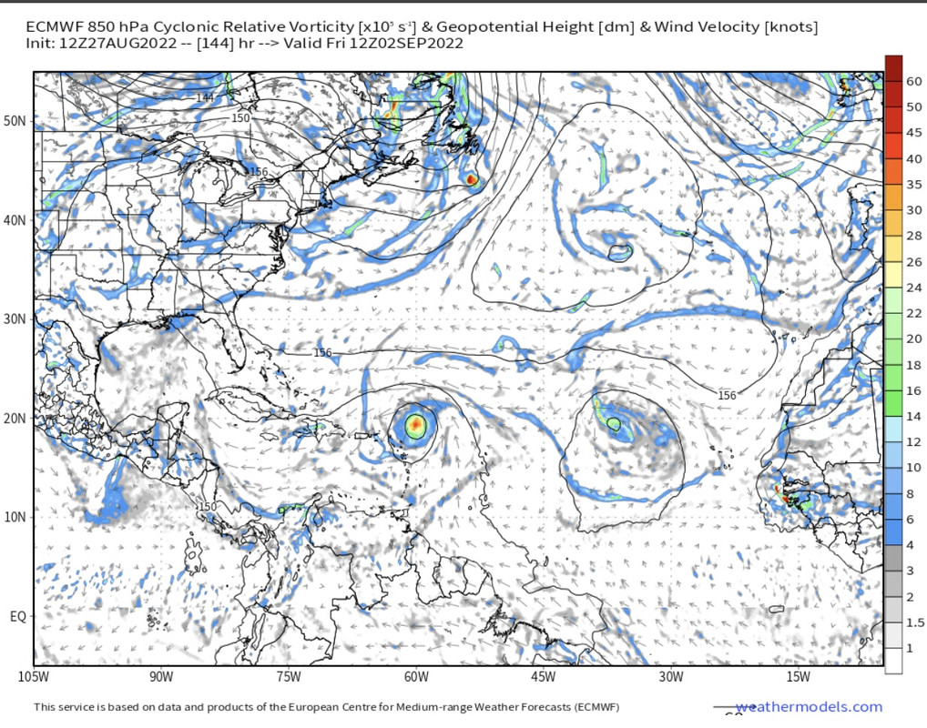 1B9D7418-4979-4914-B255-B042901179AA