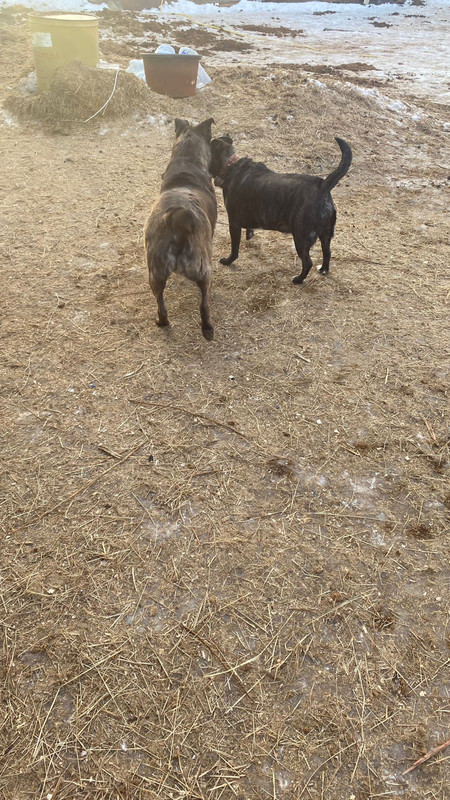 254097BA-5C3F-4080-B068-5F7BE8CD4E57