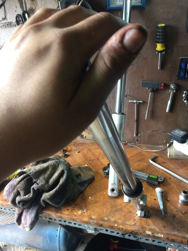 66E51764-6A10-4488-968A-0F8B5ECEA2C7