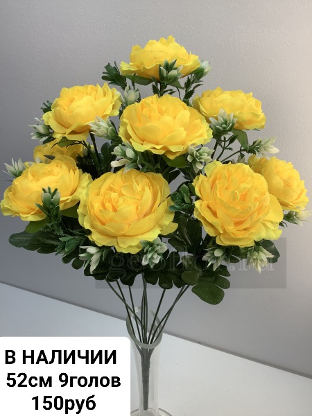 https://i.postimg.cc/Z5T2ShXD/13072023150738.jpg