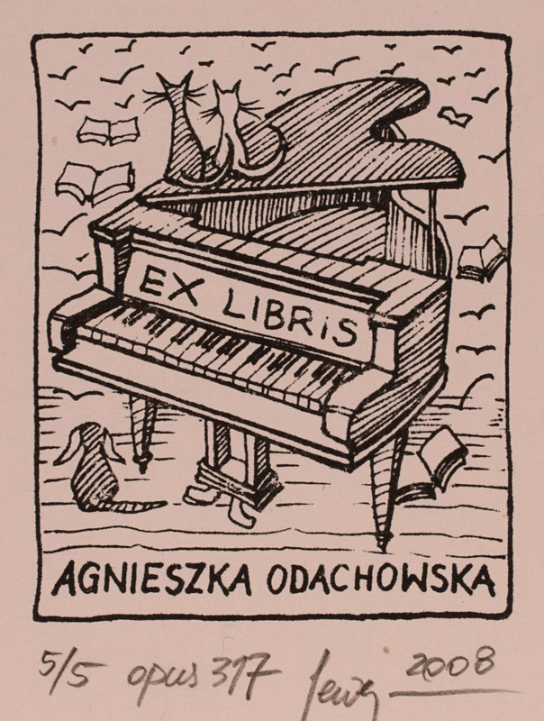 By-Seweryn-Malgorzaty-for-Odachowska-Agnieszka