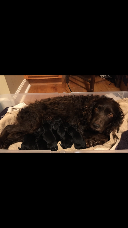 D9C536EE-5D30-4B6C-B4D0-483A00445DA0