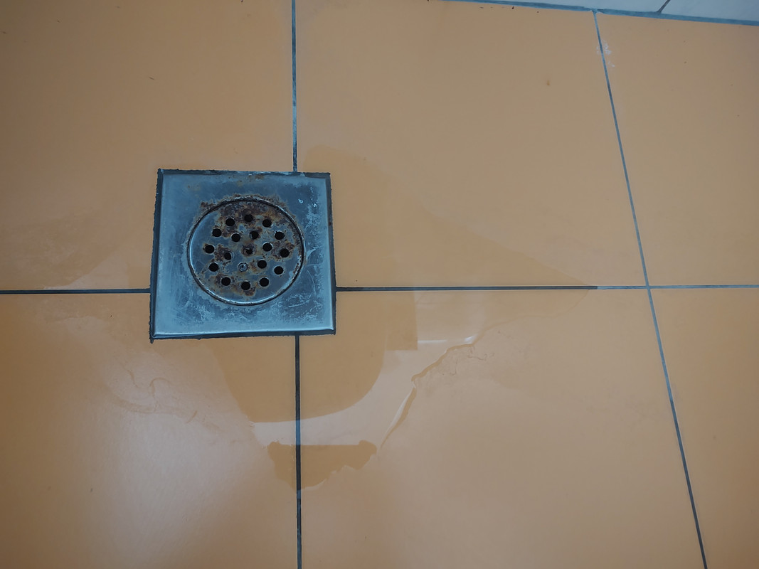 IMG_20230131_113951896