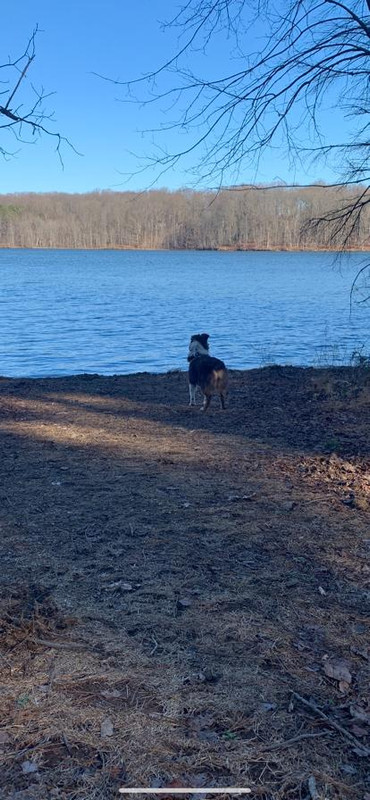 073E88B5-CCD6-401D-A793-82BBE19FCAC1