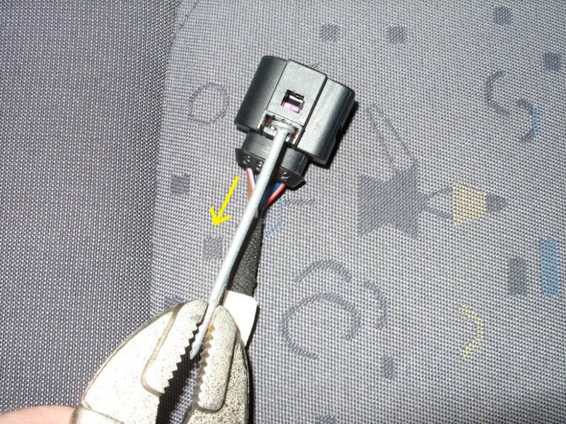 fgt677.jpg