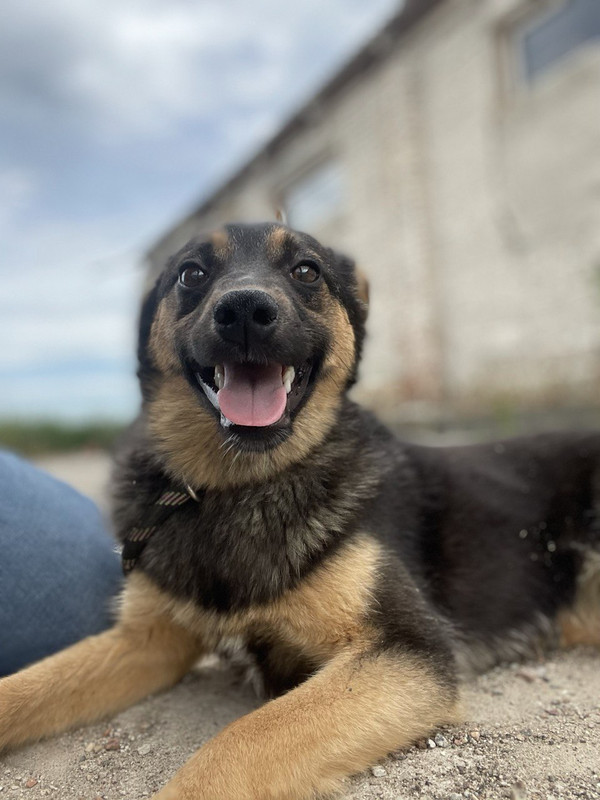 IMG_20210621_154403_290