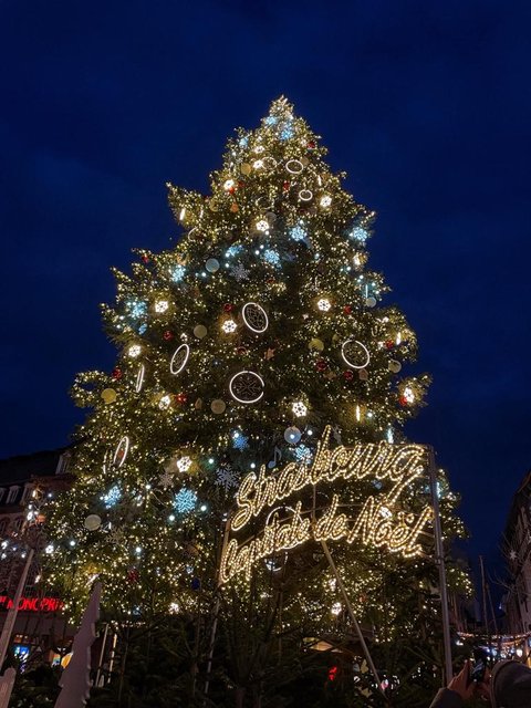 Puente de la Inmaculada 2022 en Alsacia - Blogs de Francia - ALSACIA EN NAVIDAD VISITANDO EL CASTILLO DE ALSACIA, COLMAR Y ESTRASBURGO. (28)